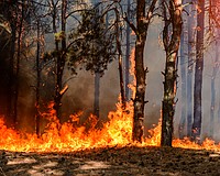 More consistent rainfall has driven eased drought conditions and prompted Sarasota County to rescind its monthslong burn ban.