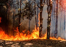 More consistent rainfall has driven eased drought conditions and prompted Sarasota County to rescind its monthslong burn ban.