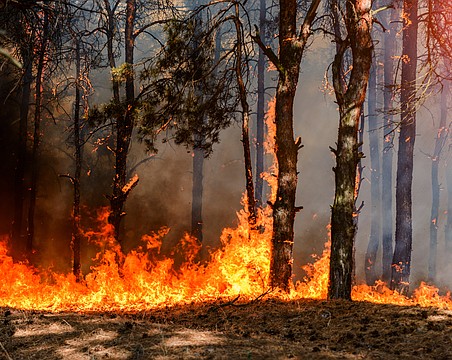 More consistent rainfall has driven eased drought conditions and prompted Sarasota County to rescind its monthslong burn ban.