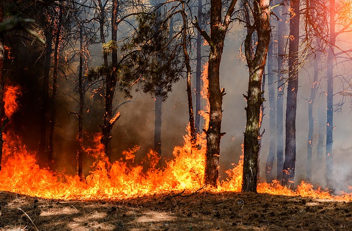 More consistent rainfall has driven eased drought conditions and prompted Sarasota County to rescind its monthslong burn ban.