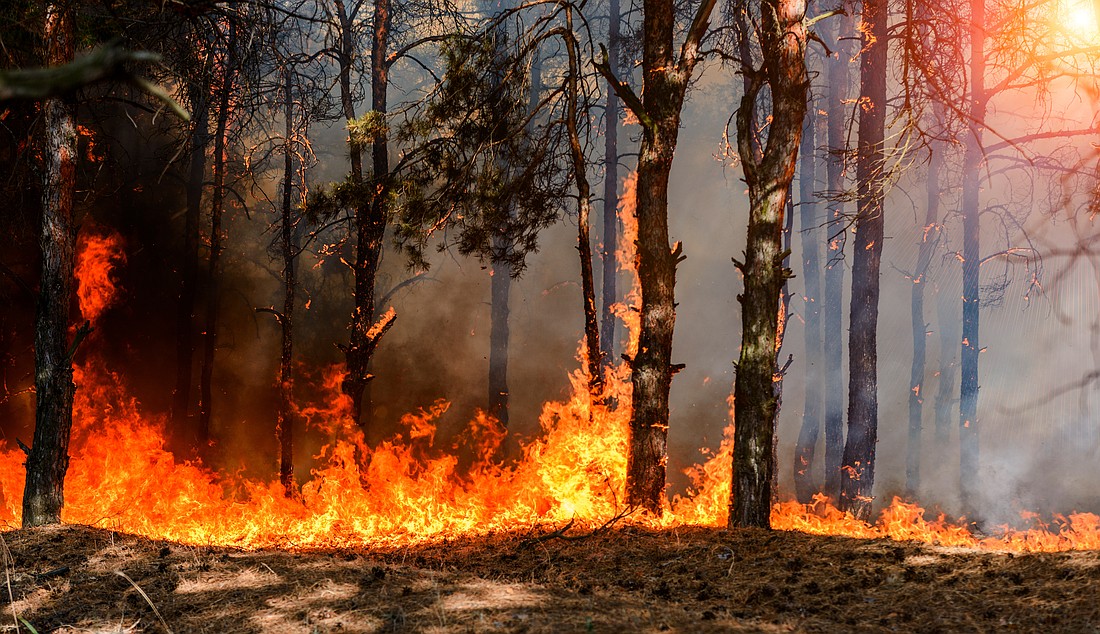 More consistent rainfall has driven eased drought conditions and prompted Sarasota County to rescind its monthslong burn ban.
