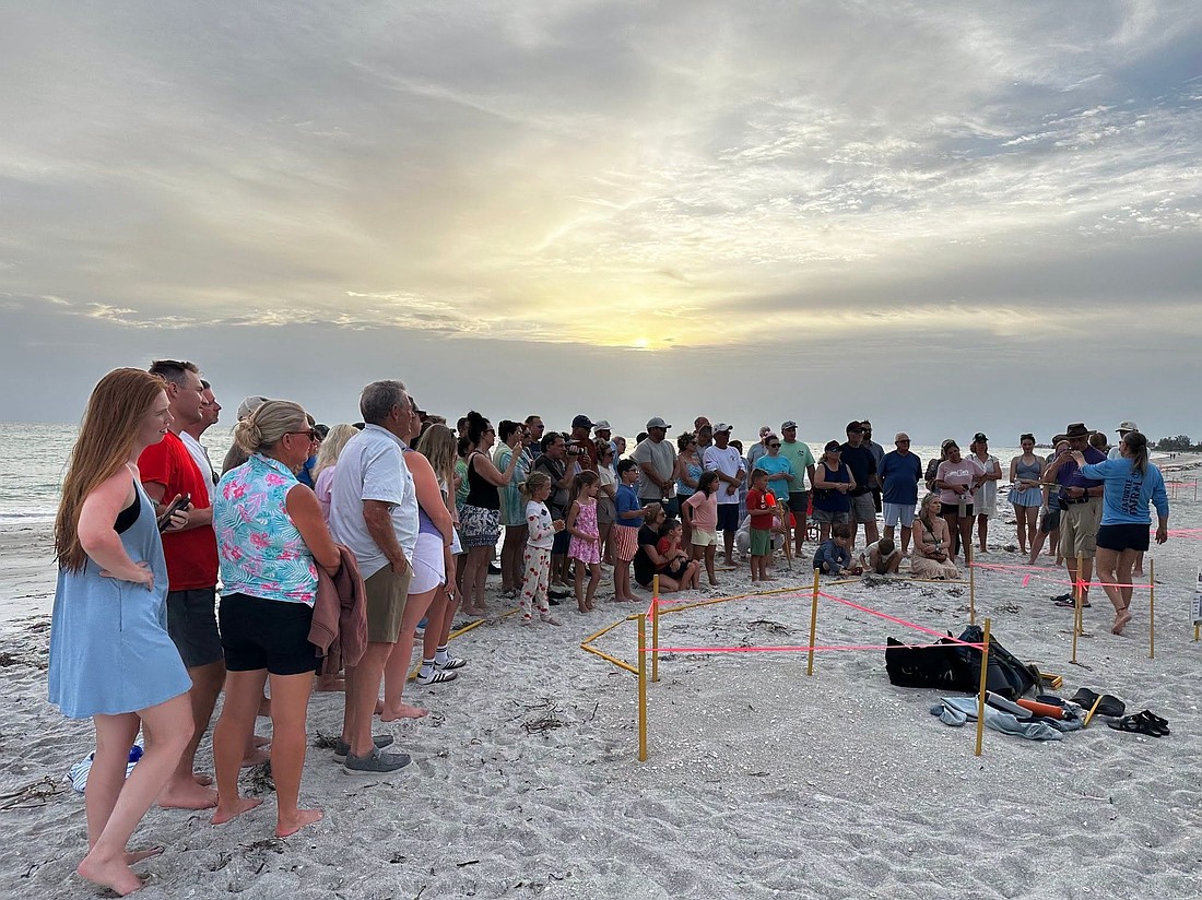 About 120 people attended an evening sea turtle nest excavation on Longboat Key conducted by permitted experts.