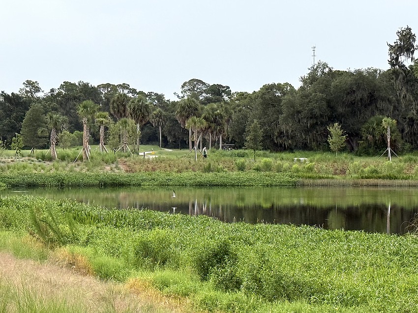 More than a nature preserve, Bobby Jones Nature Park is also a natural stormwater treatment facility that works in concert with the adjacent golf course.