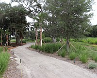 Paths through the Bobby Jones Nature Park are a combination of new crushed shell surface and former golf cart paths.