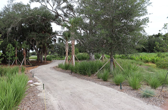 Paths through the Bobby Jones Nature Park are a combination of new crushed shell surface and former golf cart paths.