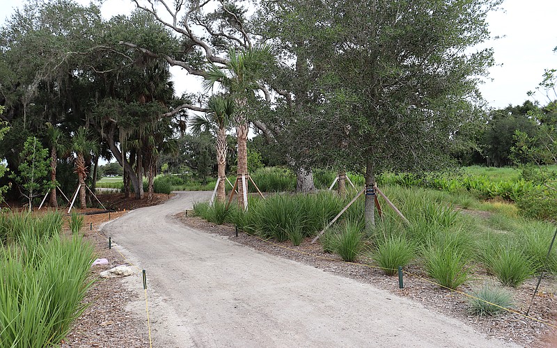 Paths through the Bobby Jones Nature Park are a combination of new crushed shell surface and former golf cart paths.