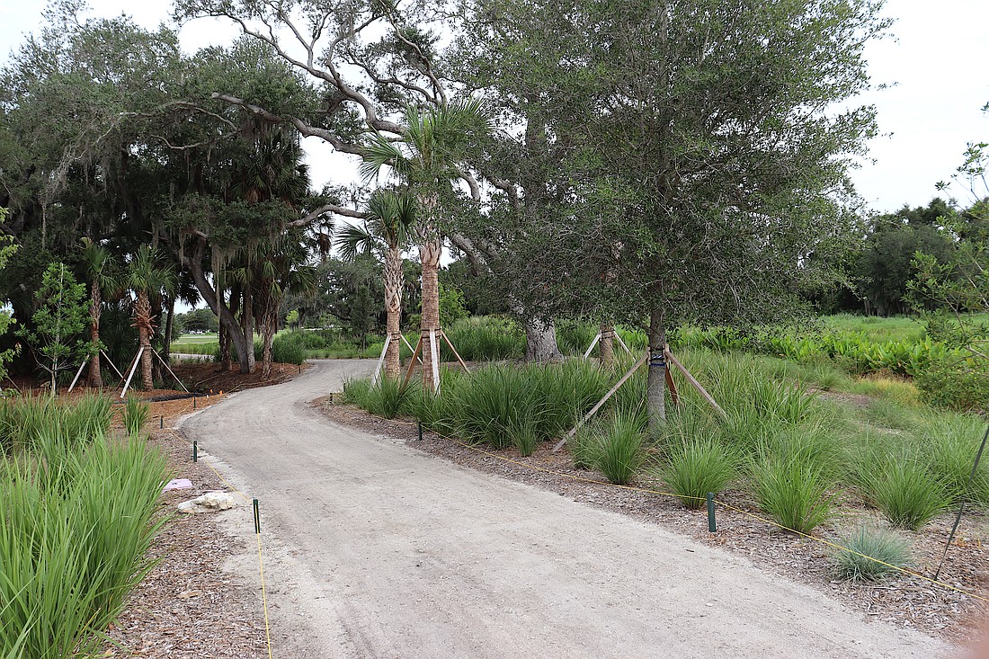 Paths through the Bobby Jones Nature Park are a combination of new crushed shell surface and former golf cart paths.