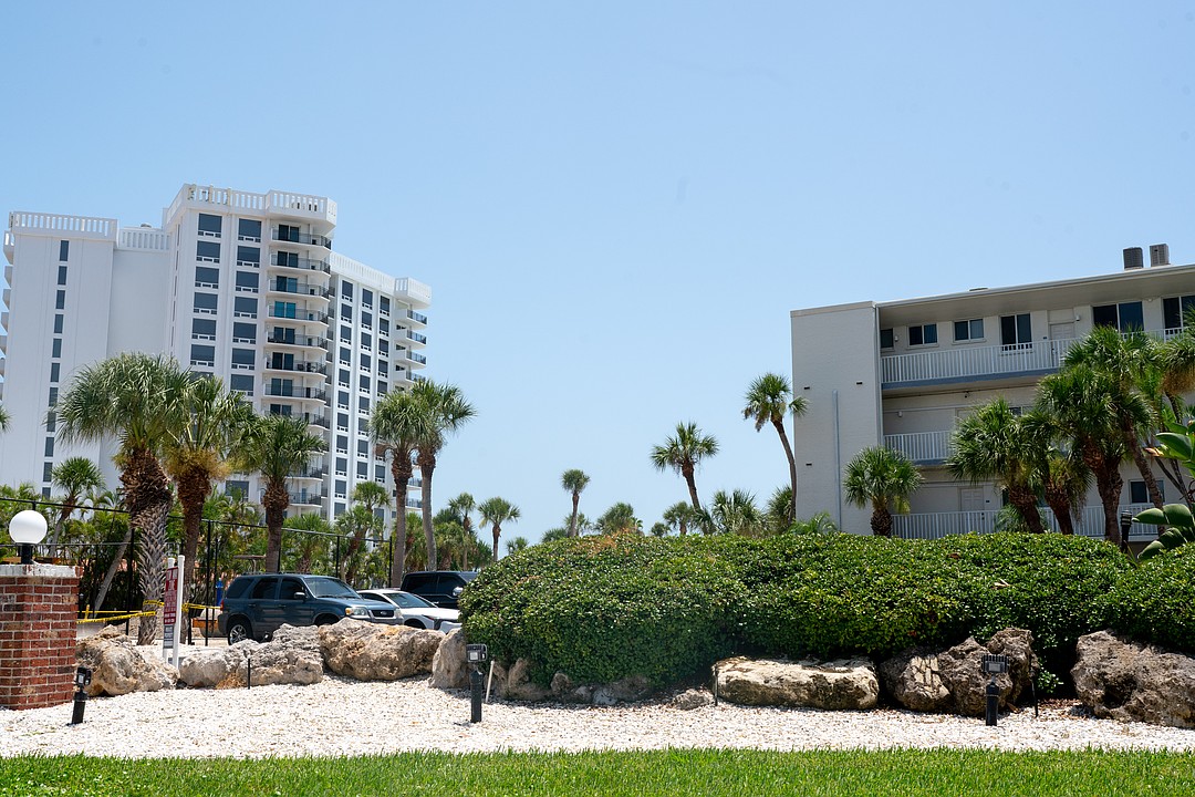 The great freeze of 1985 still impacts Longboat Key today