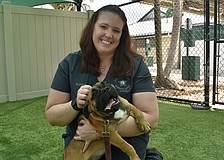 Kristen Little plays with Jubilee.