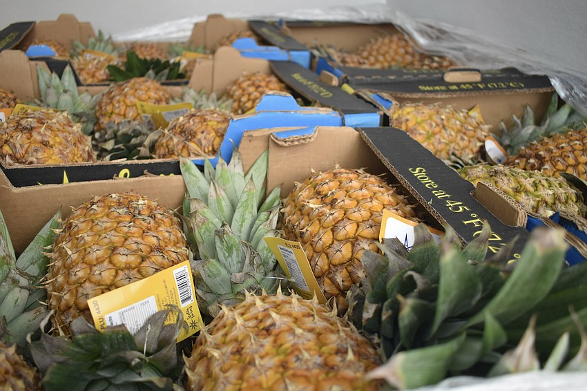 Pineapples are stored in one of the refrigerated vans.