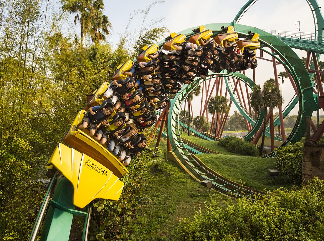 The Kumba roller coaster at Busch Gardens Tampa Bay.