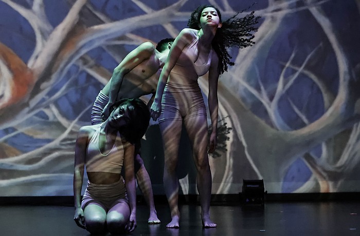 Tania Vergara Dance Theater will stage a free performance of "HuMangrove" on Saturday, July 25, at Selby LIbrary.