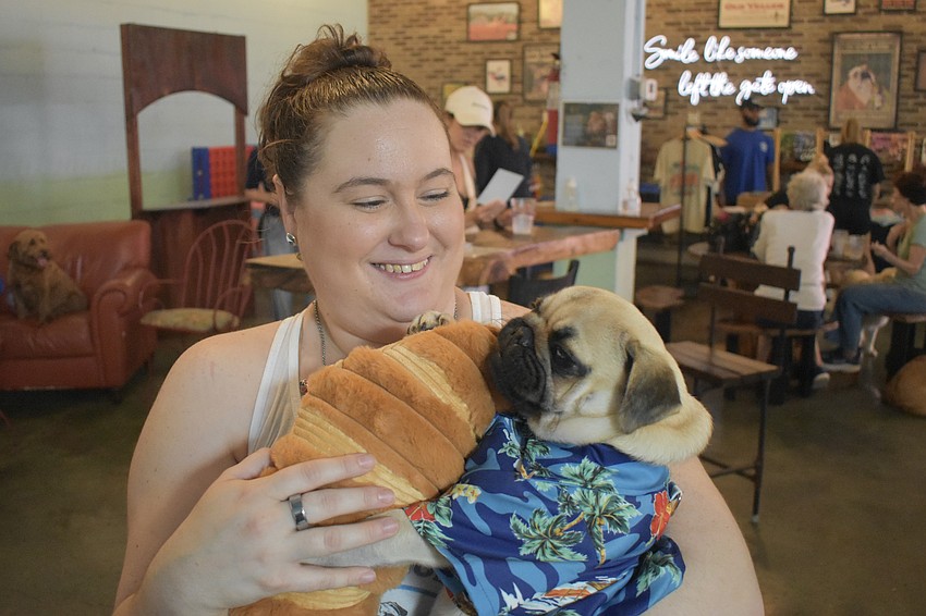 Allison Chiger of Pug Rescue of Florida & Georgia holds Jerry as he snuggles up to a plush croissant.