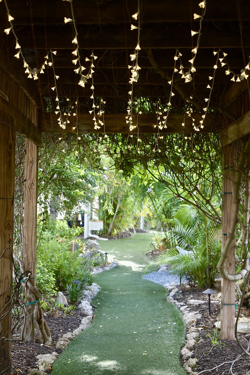 Lights are a new addition to the vine tunnel and grand pavilion.