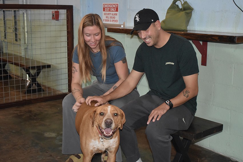 Jessica Manne and her boyfriend Laden Libings pet one of the dogs in the building, Tito.