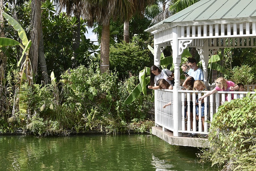 Children are allowed to feed the turtles after Crafty Critters.