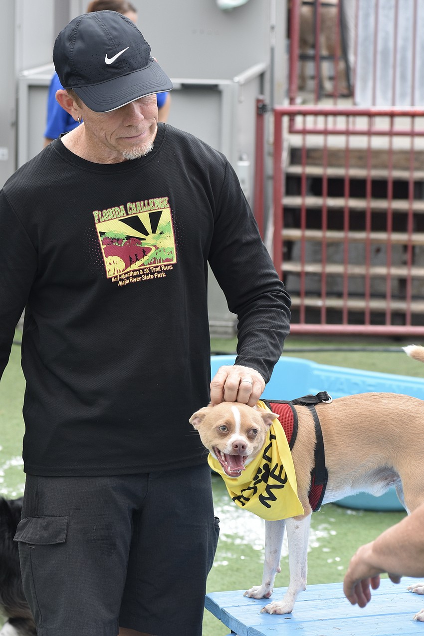 Chad Belcher pets Buddy, an adoptable dog with UnderDog Rescue of Florida in Bradenton.