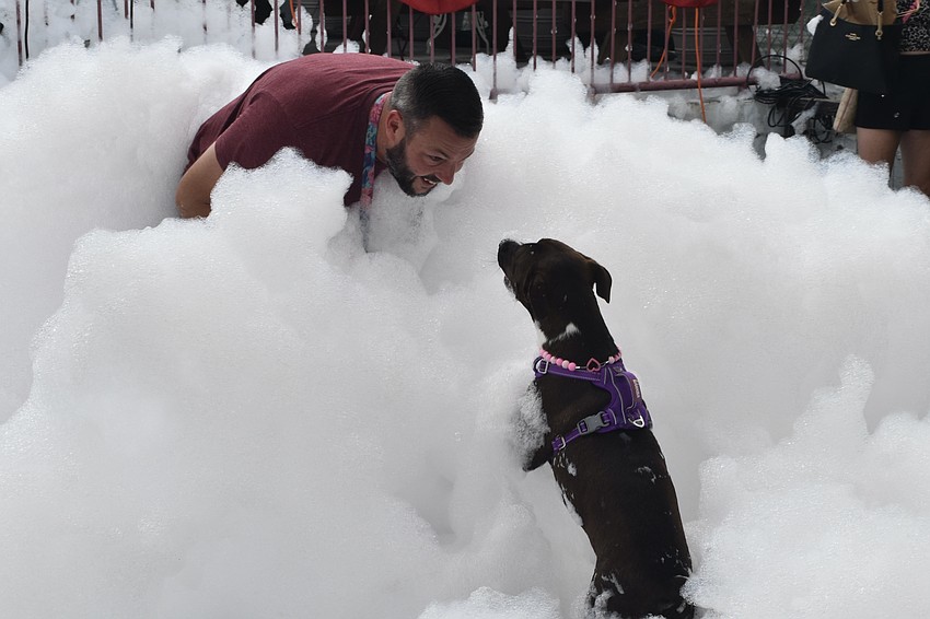 Josh Morgan plays with his dog Shirley in the foam.