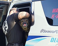 Sarasota Police Department K-9 Kodak seems ready for deployment with handler Officer Ryan Block.
