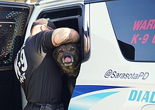 Sarasota Police Department K-9 Kodak seems ready for deployment with handler Officer Ryan Block.