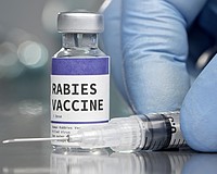 The Florida Department of Health-Sarasota County has issued a rabies warning.
