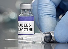 The Florida Department of Health-Sarasota County has issued a rabies warning.