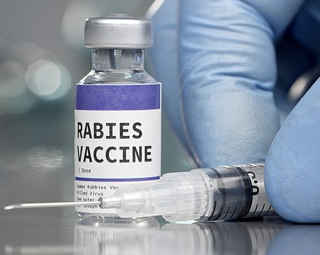The Florida Department of Health-Sarasota County has issued a rabies warning.