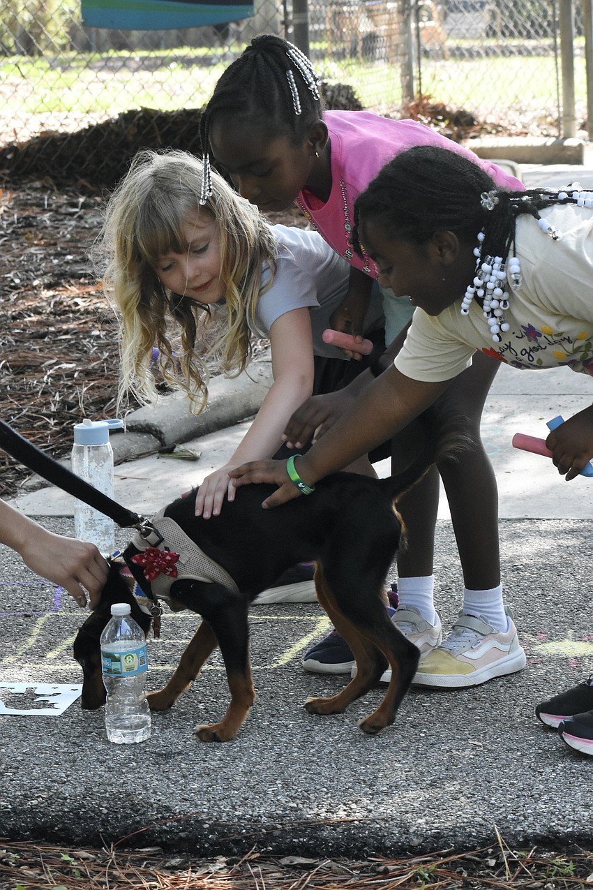 Lillianna McColley, 6, Beatrix Atkins, 6 and Zoey Love, 6, pet Isaac Johnson's dog Juniper.