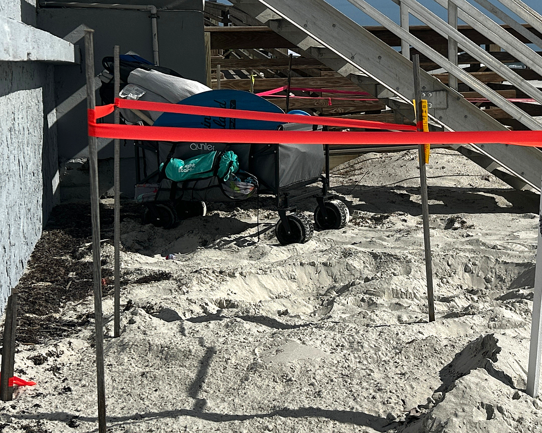 Volusia County's 1,517th sea turtle nest of 2026 set a new county record. Courtesy photo