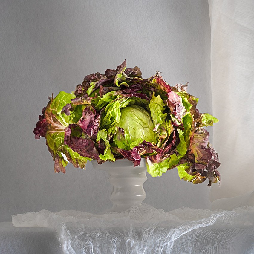 Janet Bernardini won third place for Leafy Red Lettuce at the Casements Camera Club's 13th annual Spring Exhibit. Courtesy photo Janet Bernardini won third place for Leafy Red Lettuce at the Casements Camera Club's 13th annual Spring Exhibit. Courtesy photo