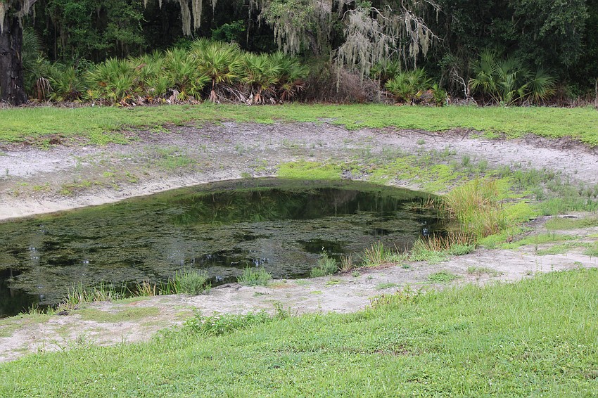 Water officials say it's going to take above-average rainfall to fill up ponds like this one on Hidden River Trail in Lakewood Ranch.
