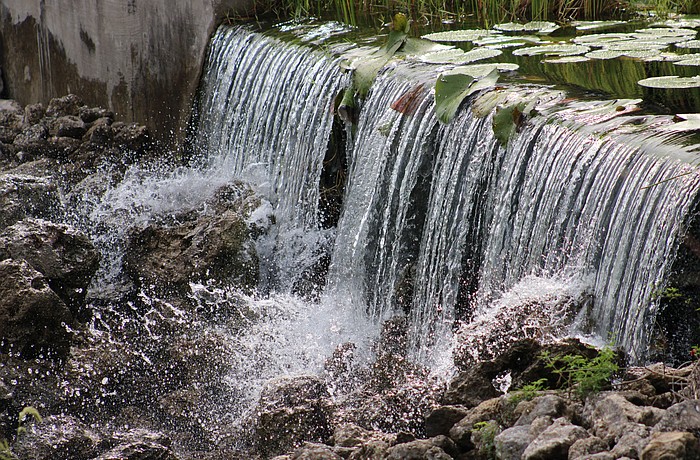 This waterfall at Patton Park in Lakewood Ranch was being fed by heavy rainfall July 29.