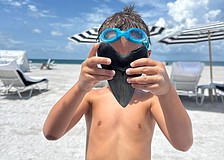 Amanda Catherine's husband found this epic fossilized megalodon tooth off Lido Beach while free diving.