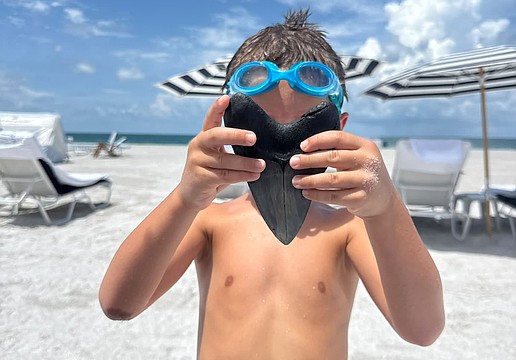 Amanda Catherine's husband found this epic fossilized megalodon tooth off Lido Beach while free diving.