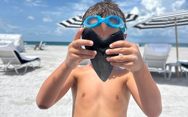 Brooks Peirce, 6, holds the epic fossilized megalodon tooth off Lido Beach that Garrett Peirce found while freediving.