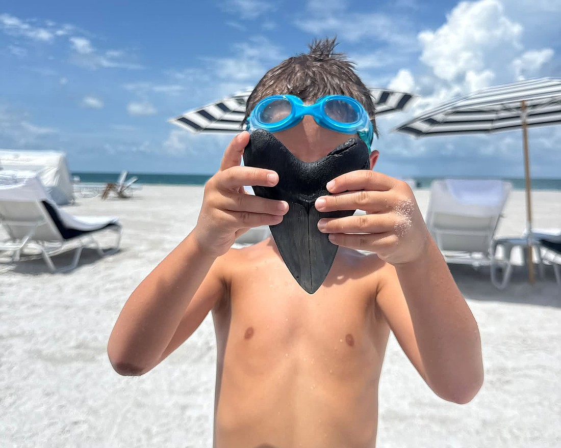 Amanda Catherine's husband found this epic fossilized megalodon tooth off Lido Beach while free diving.