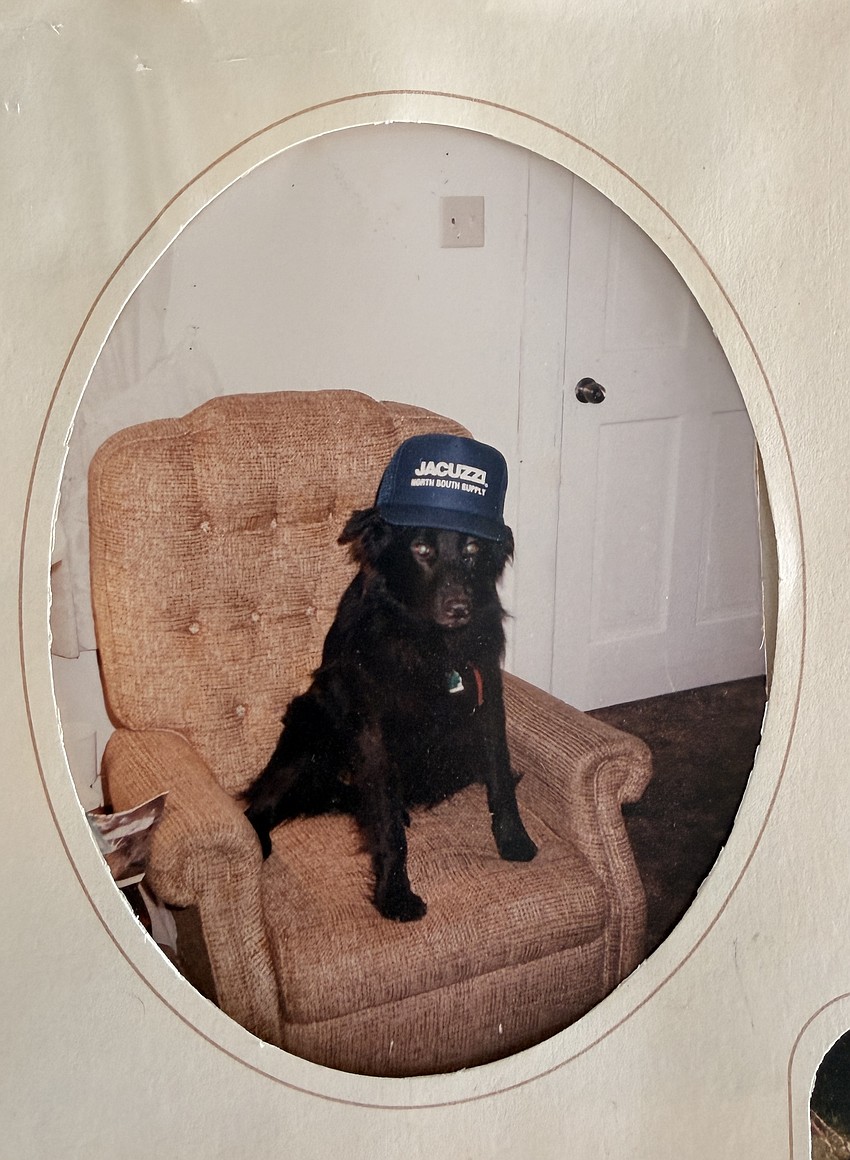 Bear was full of personality and loved by all. Bear was full of personality and loved by all.