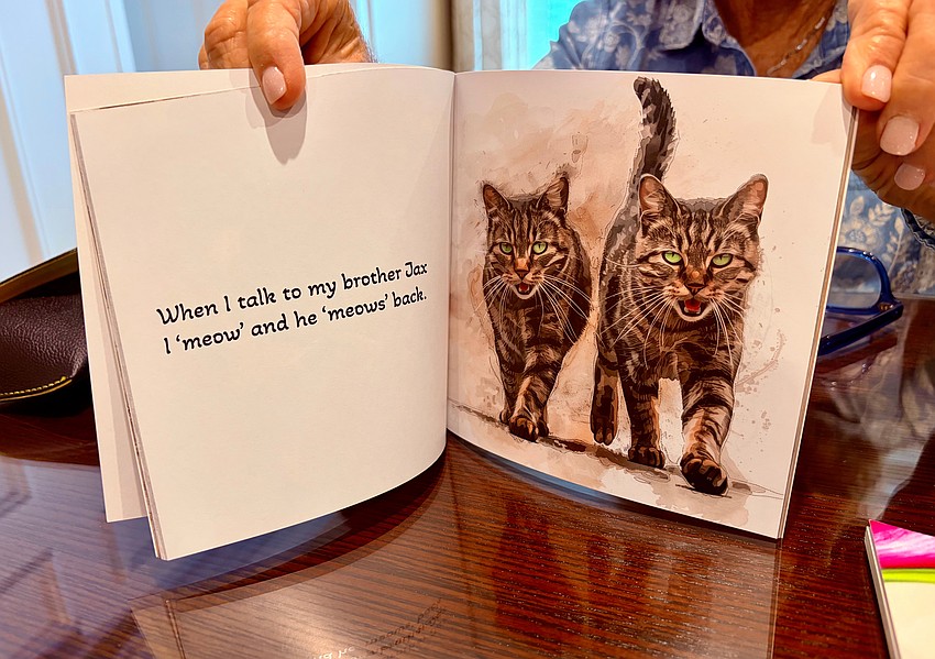 Max and her twin brother, Jax, leap from the page through illustrator Diana de Avila's art.