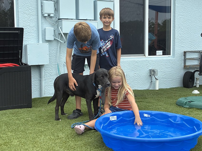 The siblings spend time with Vitorio, one of the shelter's canine residents, in the exercise yard. Courtesy photo The siblings spend time with Vitorio, one of the shelter's canine residents, in the exercise yard. Courtesy photo